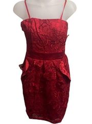 NWT Lucy & Co Red Floral Appliqué Dress