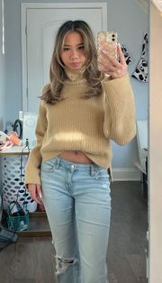 Tan Turtle Neck Sweater