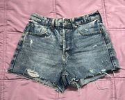 Wild Fable Distressed Denim Shorts