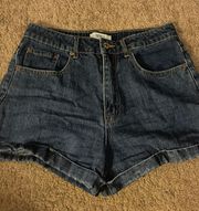 Cut Off Denim Shorts