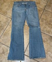 American Eagle  Hipster Skinny Flare Jeans Size 10 Long