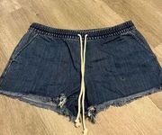 Aerie NWT Denim Shorts Size Medium