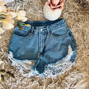 NEW Super Frayed Denim Shorts