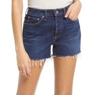 Rag & Bone Dark Wash Dre Low Rise Denim Raw Hem Cutoff Shorts Size 28 New