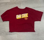 Cropped  College Tee