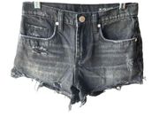 BlankNYC Wedge Distressed Cutoff Gray Denim Shorts, Size 24