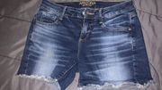 Arizona Denim Shorts Size 3