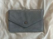 Snakeskin Clutch