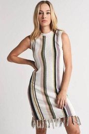 Cupcakes and Cashmere Leandra Sleeveless Striped Neutral Fringe Dress