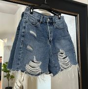 High Rise Shorts