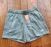 The North Face Women's Evolution Shorts | Dark Sage | XL | NWT