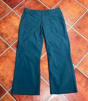 Patagonia Cropped Hiking Pants