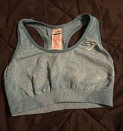 sports bra