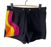 Delia’s Rainbow Shorts