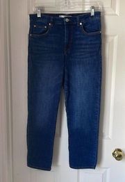 Ella Moss High Waist Straight Leg Ankle Jeans