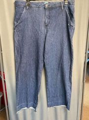 Jag Sophia Jeans Womens 18W Blue Denim High Rise Wide Leg Frayed Pockets B65