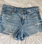 Outfitters Denim Shorts