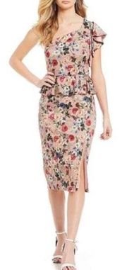 NWT  Danielle Floral Peplum  Sz 8