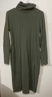 Olive Green Turtle Neck Dress