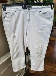 Cato Premium Women Solid White Cotton Mid Rise Classic Distressed Pant Size 24