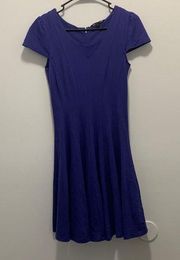 Felicity and Coco Size Small Blue/Purple Dress