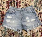 Hidden Denim Shorts