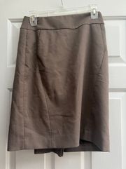 Skirt Size 2 Lined