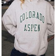 John Galt/ Brand Melville  Aspen Colorado Hoodie NEW