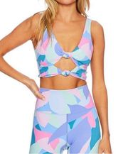 BEACH RIOT workout crop top/ bra!