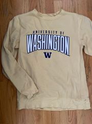 Champion Vintage University Of Washington Sweatshirt