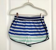 Hunter x Target Blue Striped Shorts XS