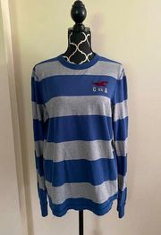 Hollister EUC  Grey and Blue Striped Long Sleeve shirt with red eagle size large