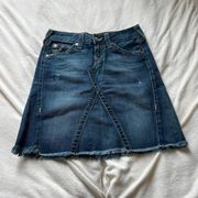 True Religion Skirt