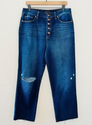 NEW  Dark Wash Denim High Rise Button Front Straight Leg Jeans