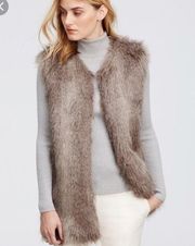 Ann Taylor faux fur vest.