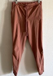 Albion Fit Jettsetter Joggers in Terracotte Clay Orange