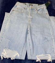Wild Fable wide leg baggy jeans