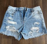 Outfitters “Mom Shorts”