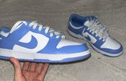 Polar Blue  Dunks