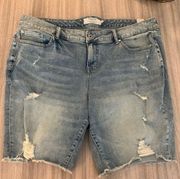 NWT  Boyfriend Bermuda Shorts!