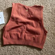 NWT spiritual gangster crop top M/L