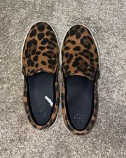 Cheetah Vans