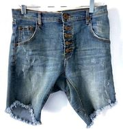 One Teaspoon Apollos Denim Buttonfly Shorts Size 26