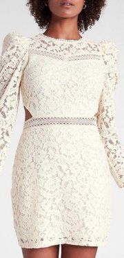 Edition Express • Ivory Cream Lace Cutout Dress