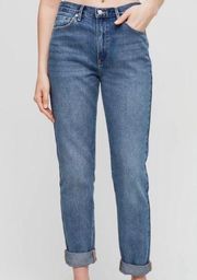 Wilfred Free Aritzia Nikki Relaxed High Rise Jeans Size 8 Medium Blue Wash