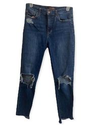 Joes Jeans the Charlie high rise skinny ankle collector edition