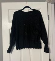 Small  Sparkle Sequin Sweater Black EUC