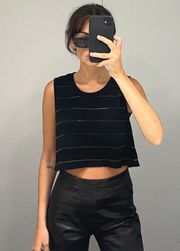 Sheer Striped Harper Crop Top NWOT