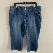 Lane Bryant Denim Capri Pants Sz 20