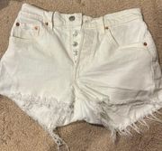 501 Shorts